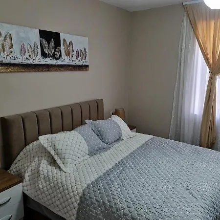 Jon's 公寓 地拉那